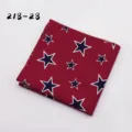 Heren rood en blauw ster bedrukt pochet stijlvolle mode casual zakdoek accessoire. - 218-28