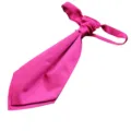 Bright hot pink men's wedding business casual ascot tie neck accessory variant display - Rose Red