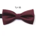 Burgundy Bow Tie Wine Red Classic Men Formal Suit Wedding Party Business Neckwear Variant - TJ35 Wine Red Stripe