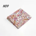 Heren katoenen paisley pochet, stijlvolle pak accessoire en zakdoek voor feestdagen. - H09