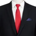 Men's business formal red plaid zipper tie and pocket square set for professional office wear. - STJ138
