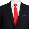 Men's business red jacquard necktie paired with black suit and blue pocket square set. - STJ137