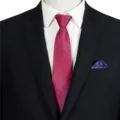 Men's Red Blue Striped Business Necktie Formal Suit Uniform Accessory Jacquard Tie - STJ139