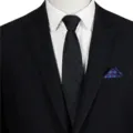 Men's Black Striped Business Suit Tie Zipper Necktie Formal Uniform Accessory Jacquard - STJ141