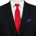 Men's business formal red patterned zipper tie, easy-to-wear uniform necktie accessory. - STJ143