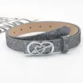 Sparkly Rhinestone Belt for Women Fashion Sparkle Bling Waist Belt with Heart Arrow Buckle - Length 105cm Width 2.3cm / Silver Gray