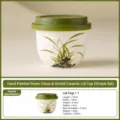 Taza de té de cerámica pintada a mano con tapa verde, patrón de orquídea, capacidad de 265 ml. - Taza con Tapa Lingxiao (Paquete Simple) / Taza Individual con Tapa