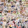 Süße lustige Katzensticker Pack holografische Sternfolie wasserdichte Haustier Meme Aufkleber. - Realistische Katze / 203 Blatt Packung