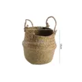 Nordic straw woven storage basket with handles, perfect for desktop organizer and plant pot. - Belly Dia 16xH 14cm / Original Color