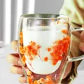Double-wall glass mug with real dried flowers inside, clear insulated drinkware for gift. - Orange Star Tree