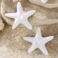 Detailopname van de prachtige witte zeester haarspelden met een mooi strandontwerp. - Wit