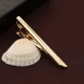 Goldfarbene Herren Metall Krawattenklammer Detailansicht, klassisches Business Anzug - Strahlengravur (Gold H) / Mit Geschenkbox / Gold