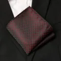 Pochette de Costume Noire et Rouge Jacquard Homme Mariage Formel Mouchoir de Poche - Style Floral Géométrique Noir et Rouge H023
