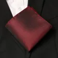 Pochette de costume jacquard texturée pour homme mariage formel marié mouchoir poche - Style Jacquard Entrelacé Rouge et Noir