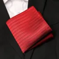 Pochette de costume rouge jacquard pour homme, élégant mouchoir pour mariage et affaires. - Style à Texture Subtile Bordeaux