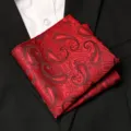 Pochette costume homme rouge cachemire vintage mariage mouchoir de poche formel élégant - Style Jacquard Paisley Noir et Rouge Bordeaux