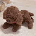 Peluche Perro Teddy Marron Lindo Cachorro Animal de Peluche con Collar Rojo Variante - Tendido Teddy - Café