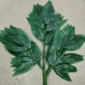 Artificial mango leaf branch, detailed view of green fake leaves for home garden decor. - Dark Green Mango Leaves 12 Branches