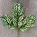 Artificial plant branch fake leaves green foliage for indoor garden landscape decoration detail view - White Pattern Mango Leaves 12 Branches