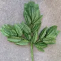 Artificial green plant branches fake leaf foliage for home garden decoration display - Yellow Line Mango Leaves 12 Branches