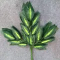 Artificial green leaves branch fake plant foliage for home garden landscape decoration detail view. - Yellow Core Mango Leaves Model B 12 Branches