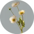 Artificial white poppy bouquet four heads fake flowers for home wedding decoration - White