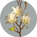 Artificial magnolia flower branch home decor fake floral arrangement for living room table - White