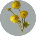Artificial yellow poppy flower bouquet, 4-head velvet faux floral for home wedding decor. - Yellow