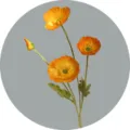 Artificial 4-head poppy flower bouquet, orange flocking faux floral for home wedding decor. - Orange Yellow