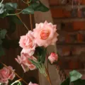 Artificial rose vine for home wall decoration, beautiful pink fake flowers plant decor - Pink