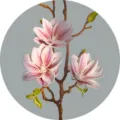 Artificial magnolia flower branch, PU hand-painted floral bouquet for home decor display. - Pink