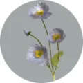 Artificial Poppy Flowers 4 Heads Light Blue Silk Flower Bouquet Home Decor Wedding Party - Light Blue