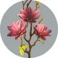 Artificial Small Magnolia Flower Branch in Pink PU Material for Living Room Decor - Dusty Pink