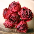 Vintage burnt edge red artificial rose flower bouquet for home and living room floral decor. - Burgundy