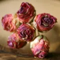 Retro burnt-edge artificial silk roses bouquet, vintage floral arrangement for living room home decor. - Rose Pink