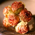 Vintage burnt edge artificial rose bouquet silk flower home living room decor decoration. - Orange