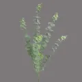 Artificial eucalyptus branch green plant retro leaf home indoor decoration single stem - 5-Fork Single Branch Eucalyptus / Green