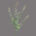 Artificial eucalyptus branch, five-forked retro green leaves for home indoor decor. - 5-Fork Single Branch Eucalyptus / Autumn Green