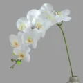 Artificial Phalaenopsis orchid single stem fake flower for home decor and wedding arrangement. - White