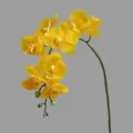 Artificial yellow phalaenopsis orchid single branch fake flower for home decoration - Yellow