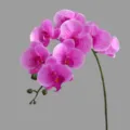 Artificial Phalaenopsis orchid branch pink silk flowers fake floral home decor item - Lotus