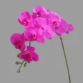 Artificial Phalaenopsis orchid flower large branch pink fake floral home decor SKU - Purple