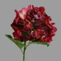 Ortensia artificiale ramo singolo rosso scuro bordo bruciato per decorazione matrimonio casa. - Rosso