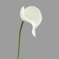 Single artificial calla lily flower white stem fake floral home decor sku variant - White