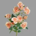 Artificial rose flower bouquet fake roses for home living room dining table decoration - Champagne Pink