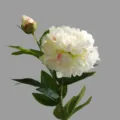 Artificial Peony Flower Two Heads Fake Silk Flowers Home Decor Dining Table Ornament - White
