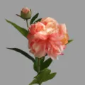 Artificial pink peony flower two heads silk floral decor home table centerpiece option - Pink