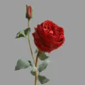 Fiore di rosa Austin artificiale a doppia testa arredamento per la casa romantico fiore rosso - Rosso