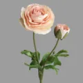 Branche de fleur de renoncule artificielle à deux têtes pour décoration de salon et table moderne. - Champagne