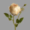 Single artificial vintage rose flower with stem and leaves for home decor arrangement. - Autumn White
